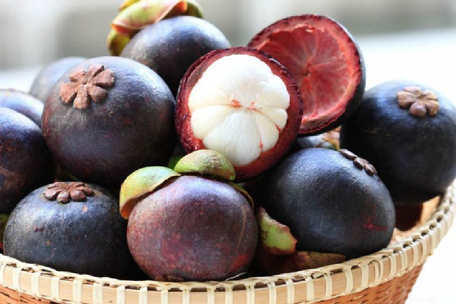 Vietanamese Mangosteen Fruit