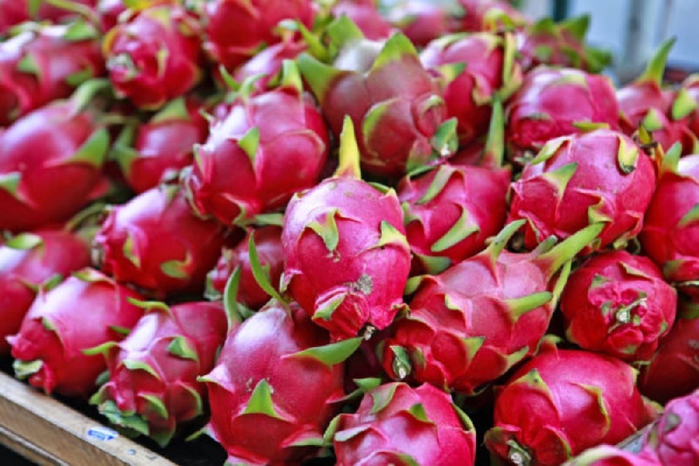 Vietnamese Dragon Fruit