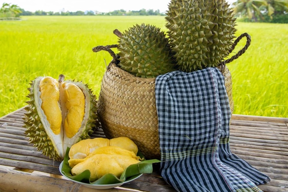 Vietnamese Durian Fruit