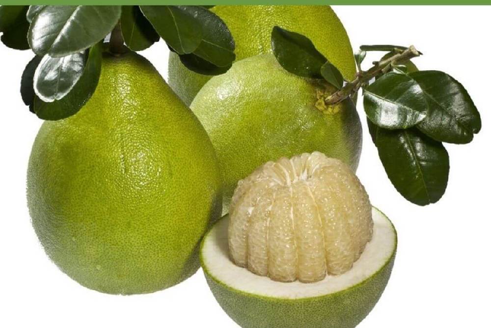 Vietnamese Grapefruit