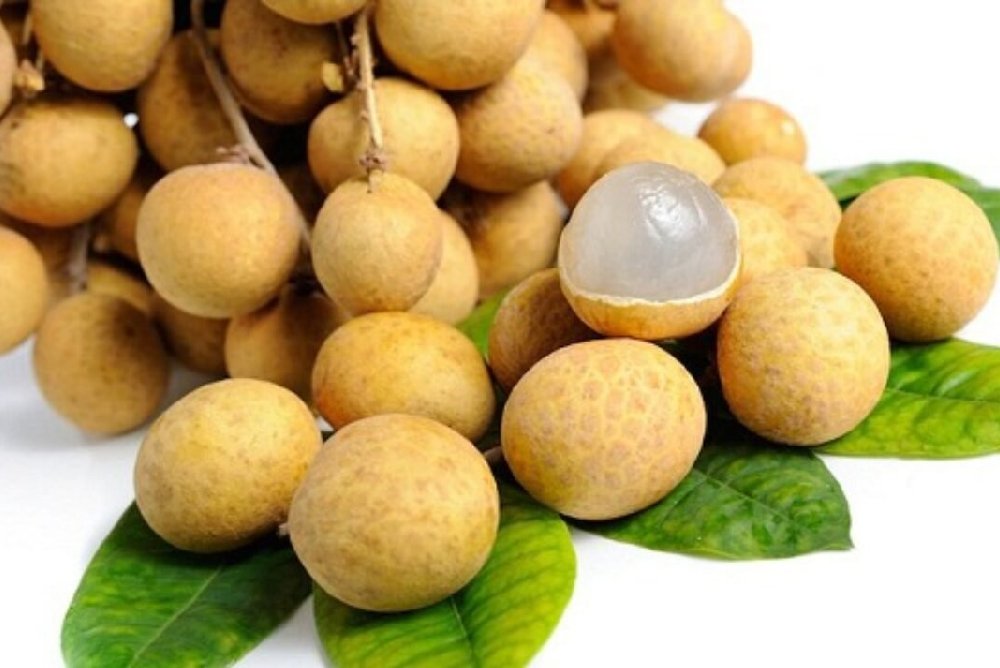 Vietnamese Longan Fruit