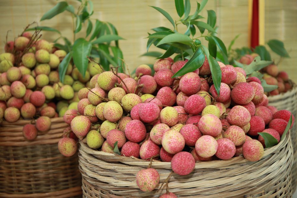 Vietnamese Lychee Fruit