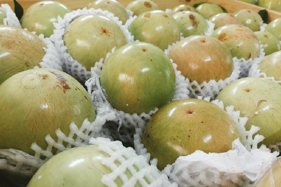 Vietnamese Star Apple Fruit